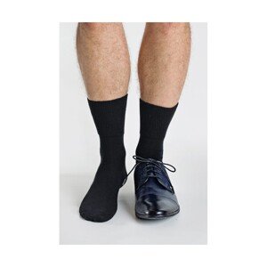 Regina Socks Frote Bambus Pánské ponožky, 43-46, modrá